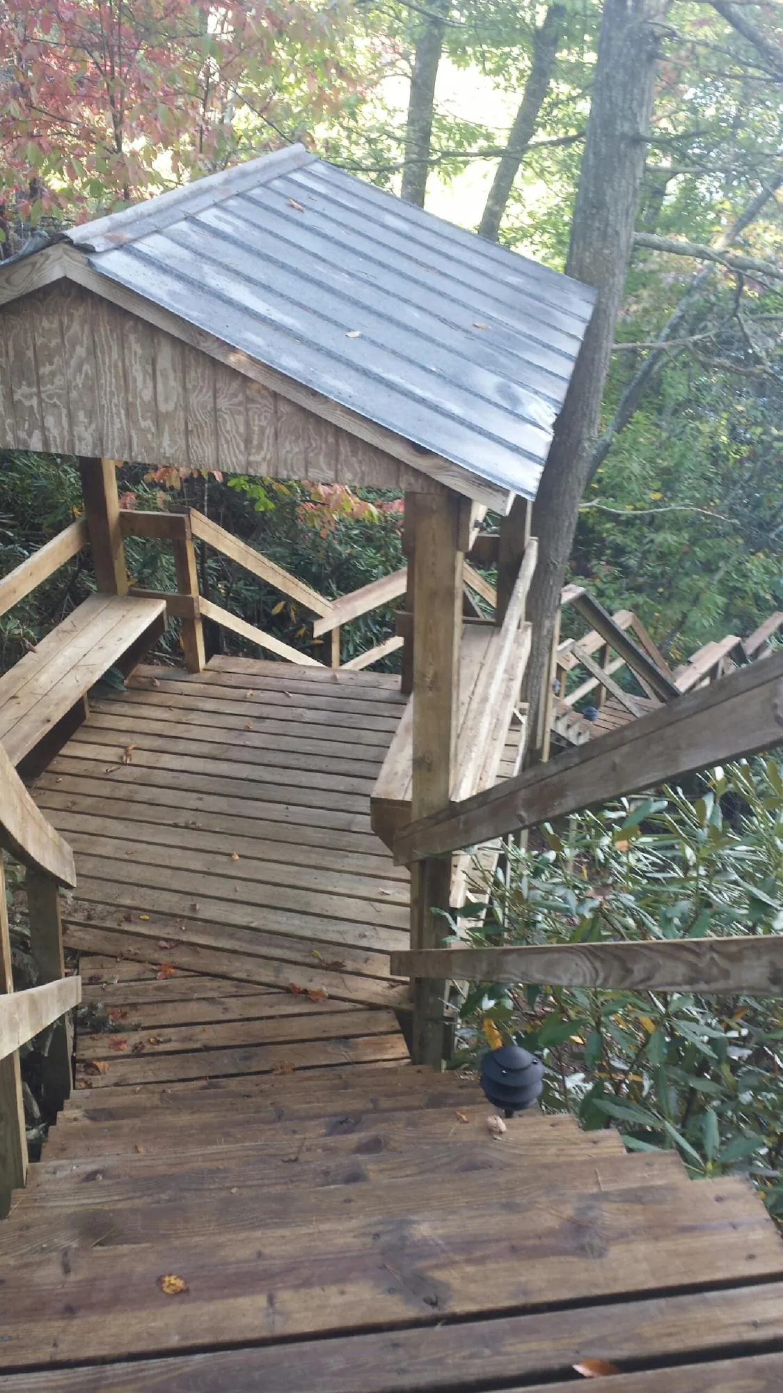 Metal roofed shelter over wooden steps on a wooded walkway — Skylight Repair & Installation work by our crew in Myakka City